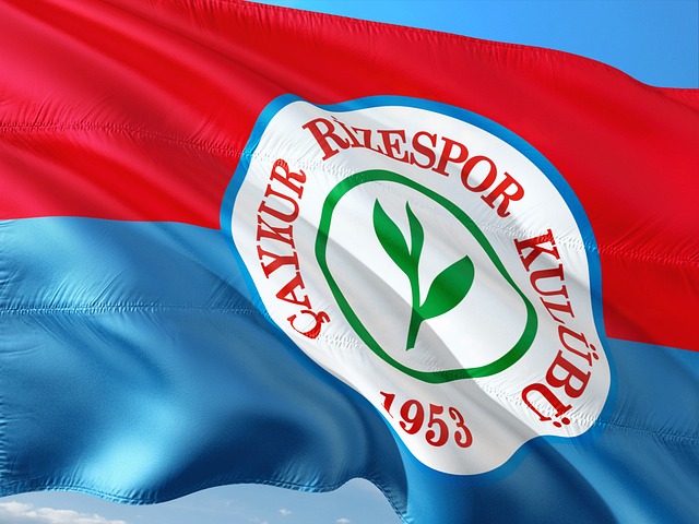 观众来说 观众来说