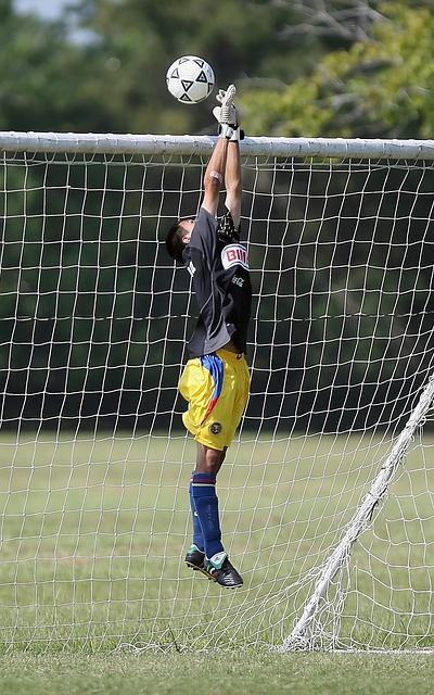 球场智慧和 球场智慧和