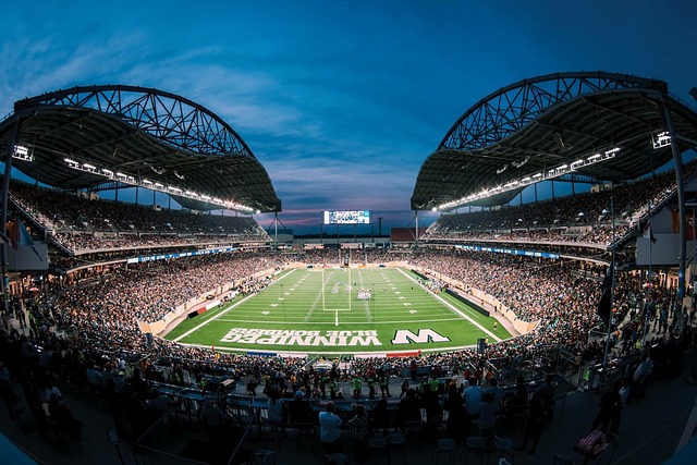 以其出色的 以其出色的