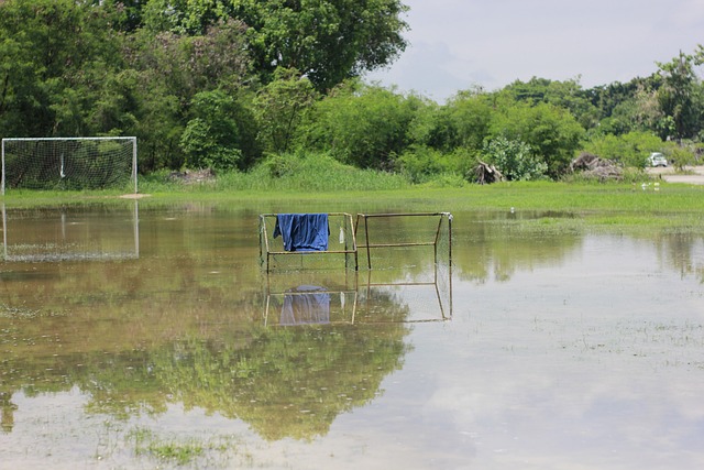 卫本场比赛 卫本场比赛