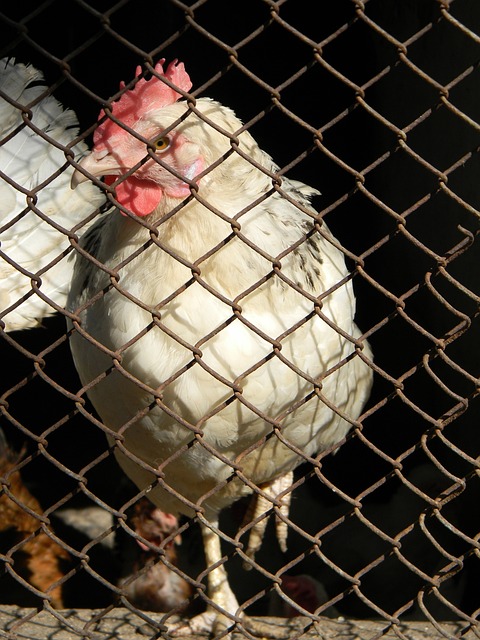 他的穩定性 他的穩定性