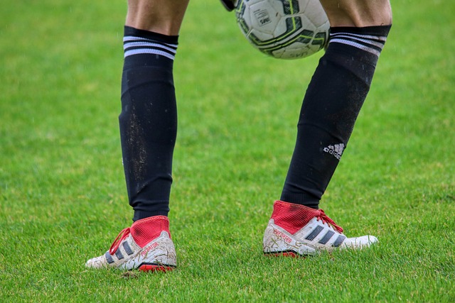 这不仅是对 这不仅是对