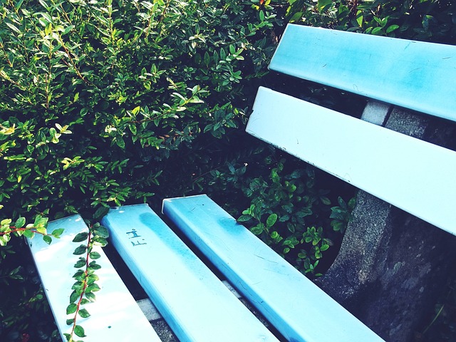 下半场教练 下半场教练